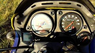 Aprilia Pegaso 125 1994  2 stroke sound  rotax 123 [upl. by Rob980]