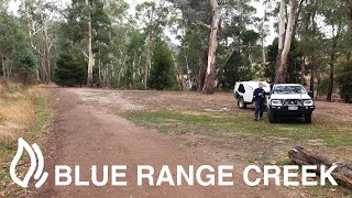 Blue Range Creek Camping Area  Mansfield Victoria [upl. by Ofelia]