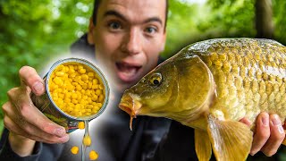 How To Catch Carp With Corn Easy and cheap bait for carp fishing [upl. by Ainimre]