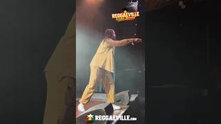 Yaksta covers Johnny B Goode Live at REGGAEVILLE EASTER SPECIAL 2024 in MÜNCHEN  Backstage 🔥 [upl. by Belia]