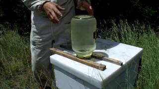 Beekeeping Tips and Tricks for the Outyard [upl. by Ylla]