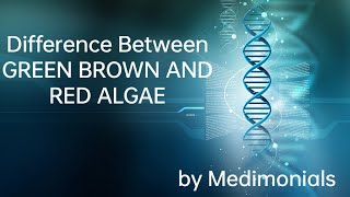 Difference between ChlorophyceaePheophyceae and Rhodophyceae  Plant kingdom Algae [upl. by Annaeg501]