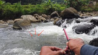 HEBOH Mancing Nilem Ikan Makan Terus Bonus ikan Gurameh LM37 [upl. by Kay]