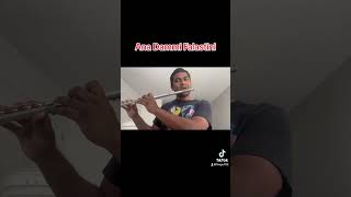 Ana Dammi Falastini  Flute [upl. by Ringler]