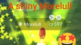 I catched a shiny Morelull 😃🤩  morelull pokemon nintendo pokemontcg [upl. by Stelmach]