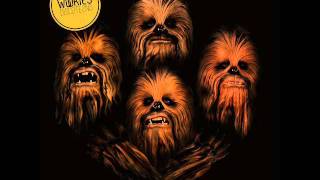 The Wookies  Costera Miguel Aleman [upl. by Anallise]