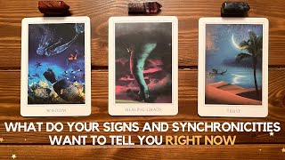 What Do Your Signs and Synchronicities Want to Tell You Right Now ✨😇 🥰 ✨ [upl. by Alleb985]