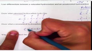 Saturated vs Unsaturated [upl. by Hampton146]