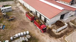 Paardenmest ophalen met Walkro uit Maasmechelen  Volvo  walkro  paardenmest [upl. by Pallaten]