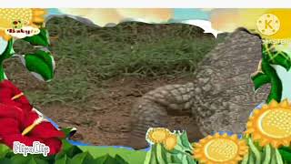 The amazing world baby tv crocodile [upl. by Mungam]