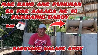 BABUYANG WALANG AMOY  DAY 9 ✅ 2024 MAGKANO NA ANG PUHUNAN SA PAG AALAGA NG 10 PATABAING BABOY [upl. by Atiuqcir]