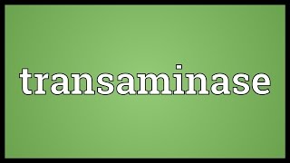 Transaminase Meaning [upl. by Nova332]