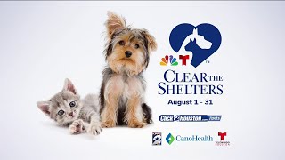 Clear the Shelters event happening this weekend [upl. by Inalak]