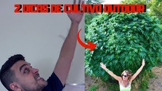 2 dicas de CULTIVO OUTDOOR de Cannabis [upl. by Scottie181]