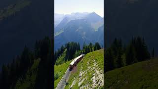 Schynige Platte cogwheel train swisstravels switzerland europetravel [upl. by Kaliski]