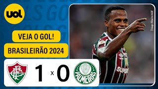 FLUMINENSE 1 X 0 PALMEIRAS  CAMPEONATO BRASILEIRO 2024 VEJA O GOL [upl. by Arvid]