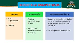 HAEMOPHILUS BORDETELLA [upl. by Elwood314]