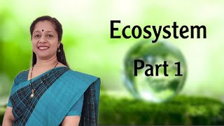 CLASS12 ECOSYSTEM PART1 STRUCTURE AND FUNCTIONS OF ECOSYSTEM PRODUCTIVITY [upl. by Lenore291]