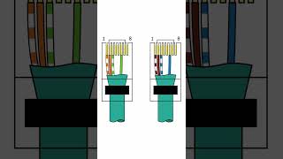 Dwie końcówki RJ45 na jednym kablu LAN [upl. by Adnola]