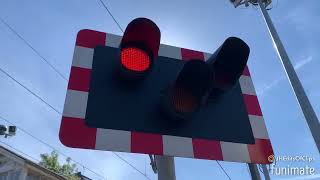 Car goes through the crossing while barrier go down  loads of misuse Highams Park Level Crossing [upl. by Navoj870]