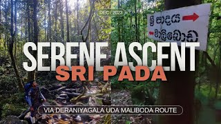 Deraniyagala Uda maliboda Trail to Sri Pada  A waypoint guide [upl. by Ellmyer442]