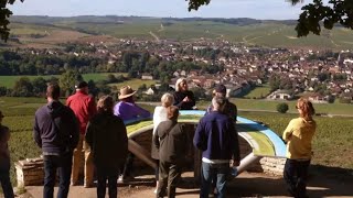 Private Tasting of Chablis Wines at the Prestigious Domaine Laroche [upl. by Keriann]