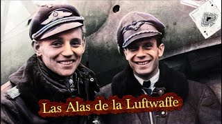 Los 5 Pilotos Más Letales de la Luftwaffe Los Mayores Ases de la Historia [upl. by Nixie90]