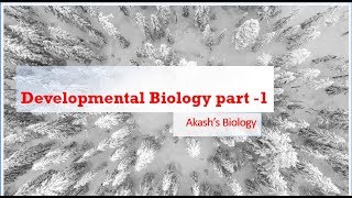 Development Biology part1 [upl. by Mazlack]