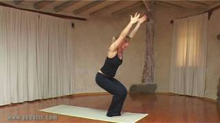 Ashtanga Yoga Sun Salutation  B [upl. by Gerhan]