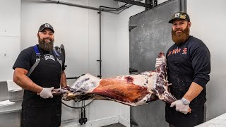 How to Butcher a Deer at Home  The Bearded Butchers [upl. by Oswell]