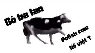 Bò Ba Lan  Polish Cow Vietsub [upl. by Stoeber359]