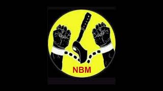 NBM LP jolly 2023 [upl. by Ewen]