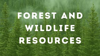 Quick Revision Forest and Wildlife Resources  Class 10  NCERT Based [upl. by Eldrida153]