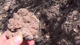 Fluorite crystal Collecting Last Chance MineWatson Mtn Prospect Turkey Creek NMSeries Recap [upl. by Lombardy]