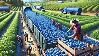 US Farmers Are Harvesting Millions Of Tons Of Agricultural Products From The 2024 Crop [upl. by Rivera421]