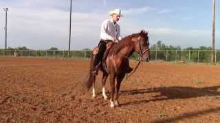 Setting the Pivot Foot  Dale Fredricks Horse Training [upl. by Ailsun]