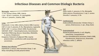 Bacterial Etiologies of Common Infections Antibiotics  Lecture 2 [upl. by Henrique801]