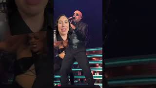 Reacting to Pitbull Concert Clip [upl. by Trab]