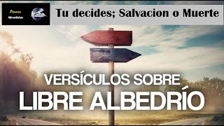 20 Versículos de la Biblia sobre Libre Albedrío Libertad de Obedecer a DIOS Teología vs Revelación [upl. by Folsom]