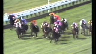 SILVER NYMPH NZ  1980 Easter Handicap [upl. by Kristo]