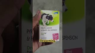 puppy ke liye Deworming syr pyrantel embonate amp Drontal puppyytshorts dhanbad [upl. by Ail]