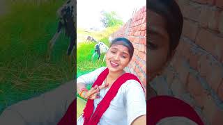 Ho aankhon se Dil mein utar ketrending song sorts video [upl. by Aubrey28]