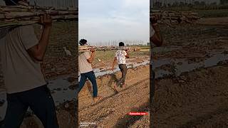 Sadi Zindagi Tha Song Status  Village Song Status  Desi Song Status villagestatus shortvideo [upl. by Kaleb]