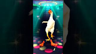 Chicken Dance 🐔😂 Remix rooster chicken song [upl. by Einnig133]