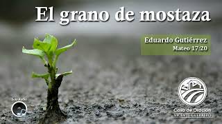 El Grano De Mostaza [upl. by Dnomde]