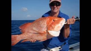 Cape Melville Bathurst Bay Fishing amp CampingTrip [upl. by Siulesoj]