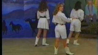 Sleazy Slide  Country Line Dancing with Lisa Austin [upl. by Cobby331]