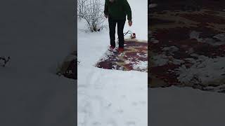 Wahnsinn Teppiche reinigen wie zu Omas Zeiten Altes Wissen im Schnee shorts tipps tricks [upl. by Etnaed]