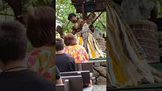 Fiji at Polynesian Cultural Center Hawaii [upl. by Nyrroc]