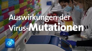 VirusMutationen in Großbritannien und Deutschland [upl. by Annaert]